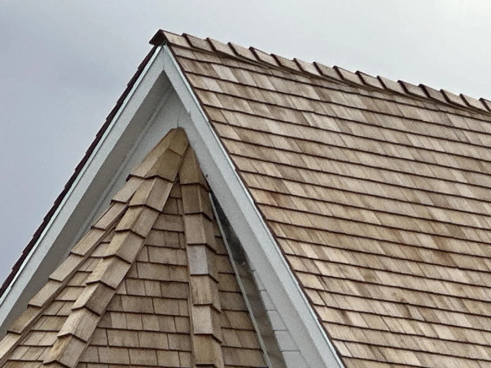 New cedar roof seen from below: a gable peak with a swept eyebrow course over the dormer
